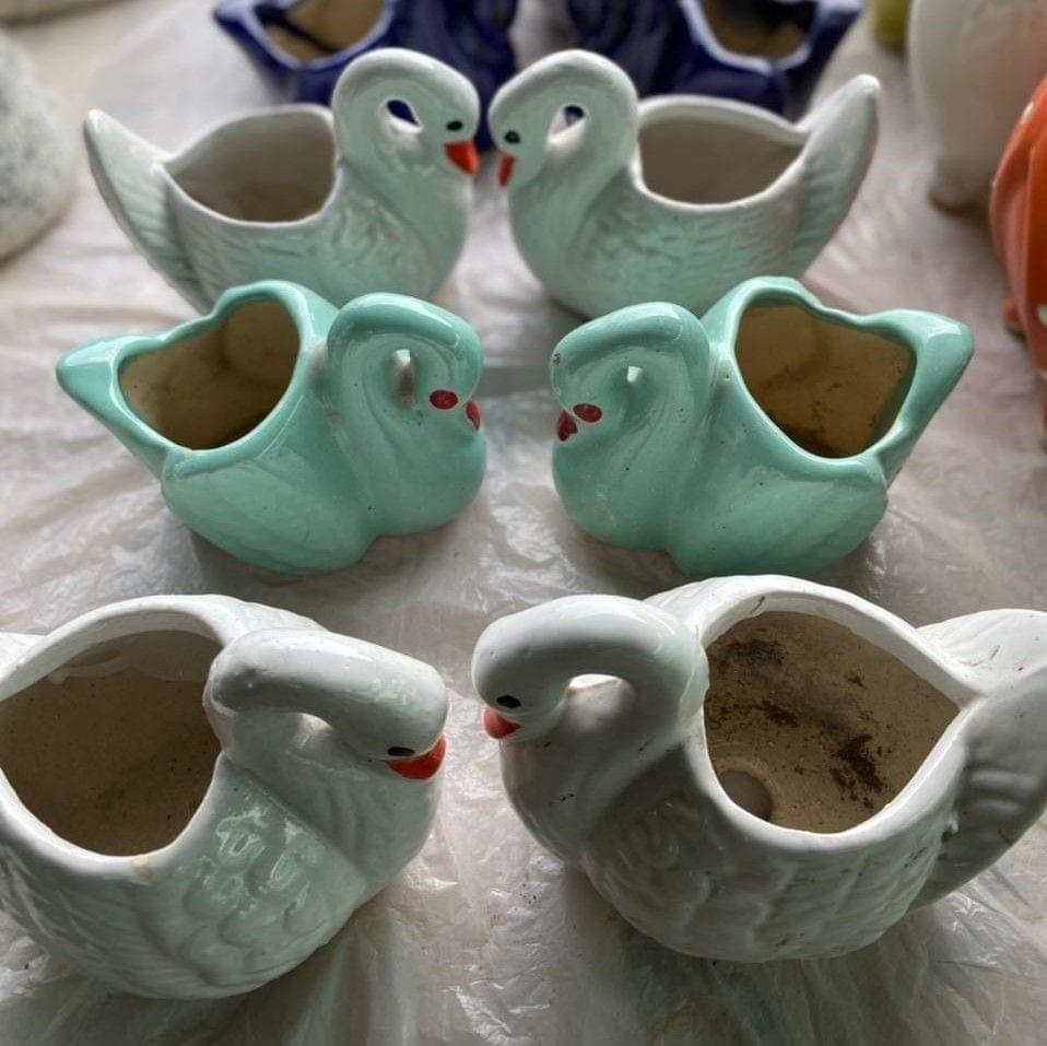 Buy 5 Inch Cute Duck Designer Ceramic Pot (any colour) Online | Urvann.com 2 Inch Cute Duck Designer Ceramic Pot (any colour)
