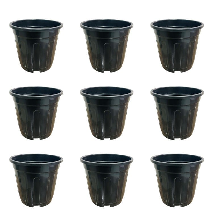 Set of 09 - 6 Inch Black Super Nursery Pot