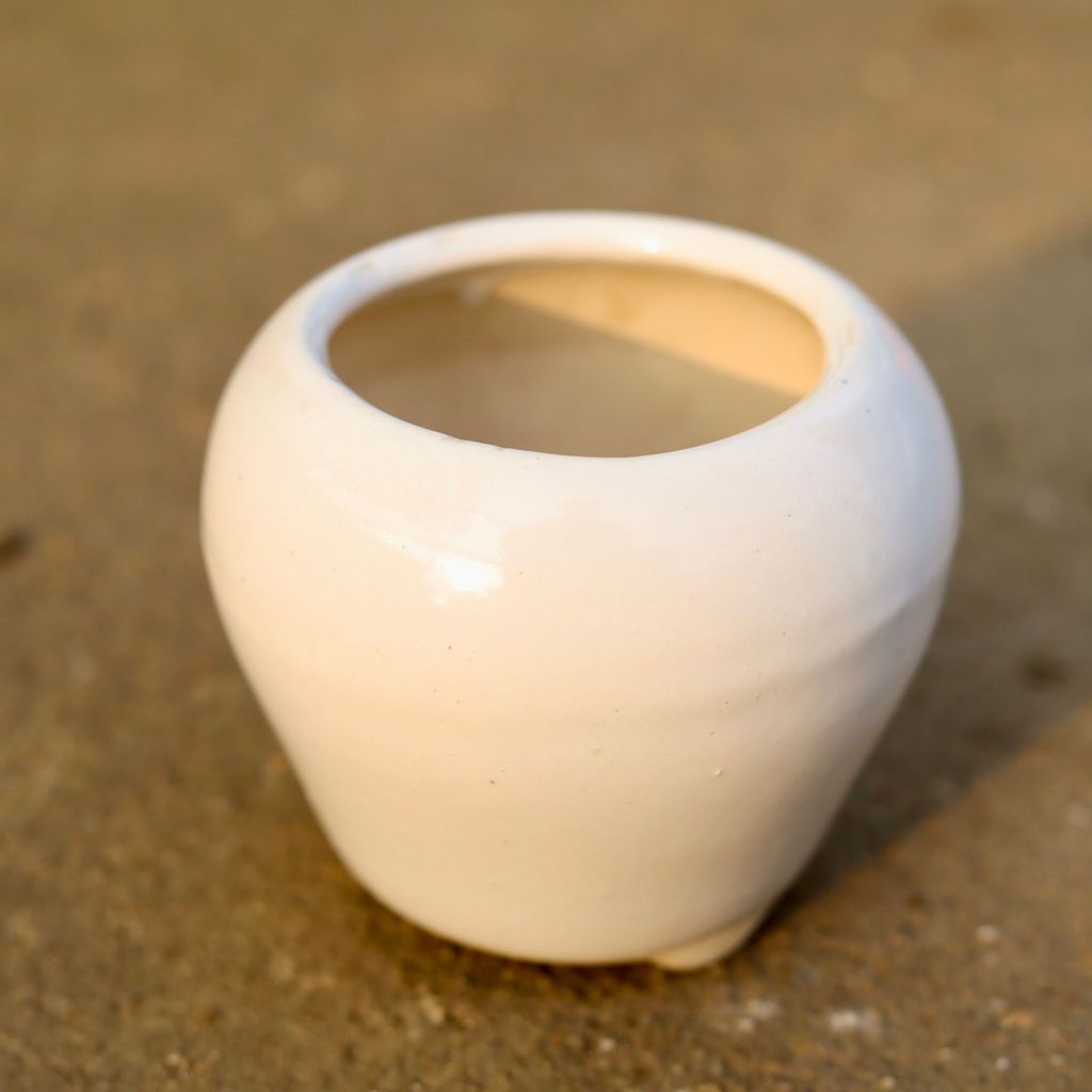 Buy 4 Inch White Classy Apple Designer Ceramic Pot Online | Urvann.com 4 Inch White Classy Apple Designer Ceramic Pot