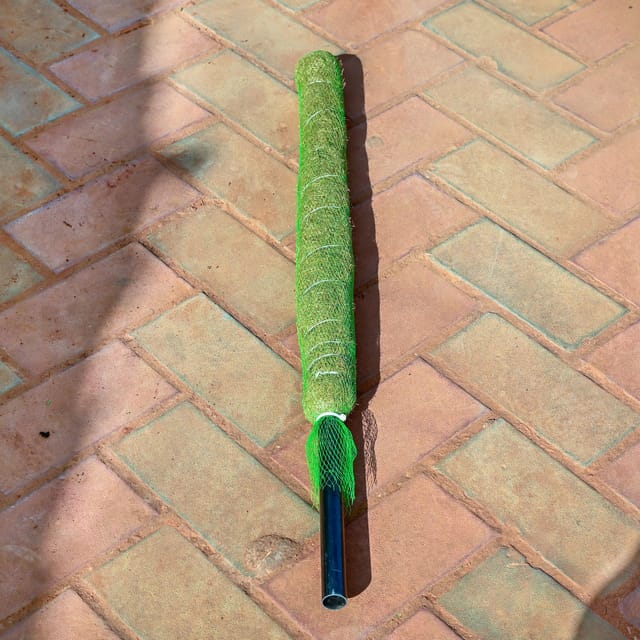 Free Next Day Delivery | Moss Stick - 3 Ft