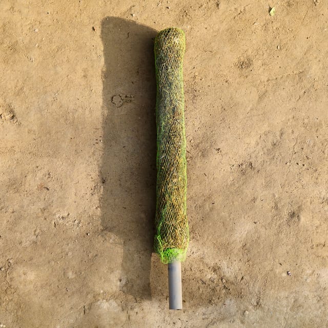 Free Next Day Delivery | Moss Stick - 2 Ft