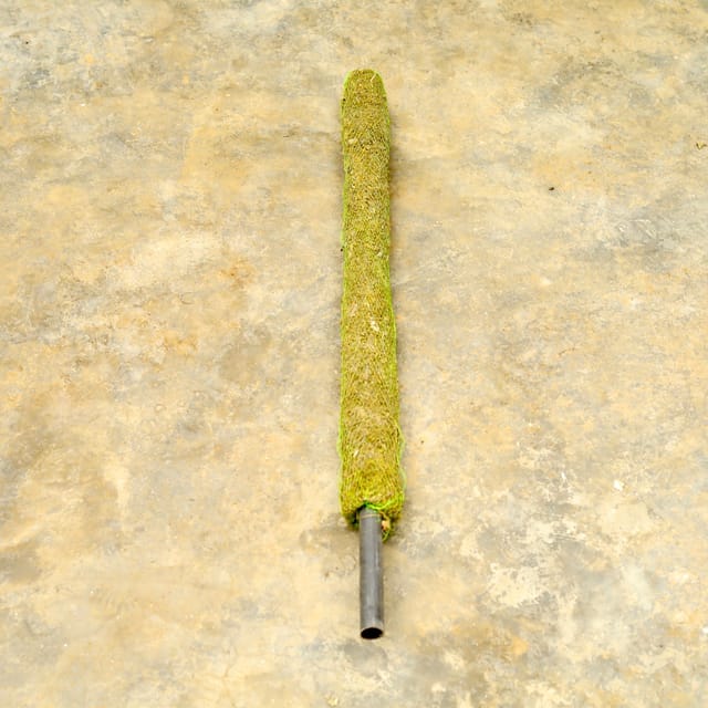 Free Next Day Delivery | Moss Stick (~ 3 Ft)