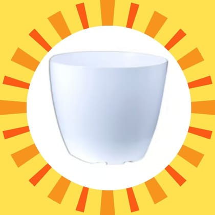 Free Gift - 4 Inch White Premium Orchid Round Plastic Pot - Flash Sale