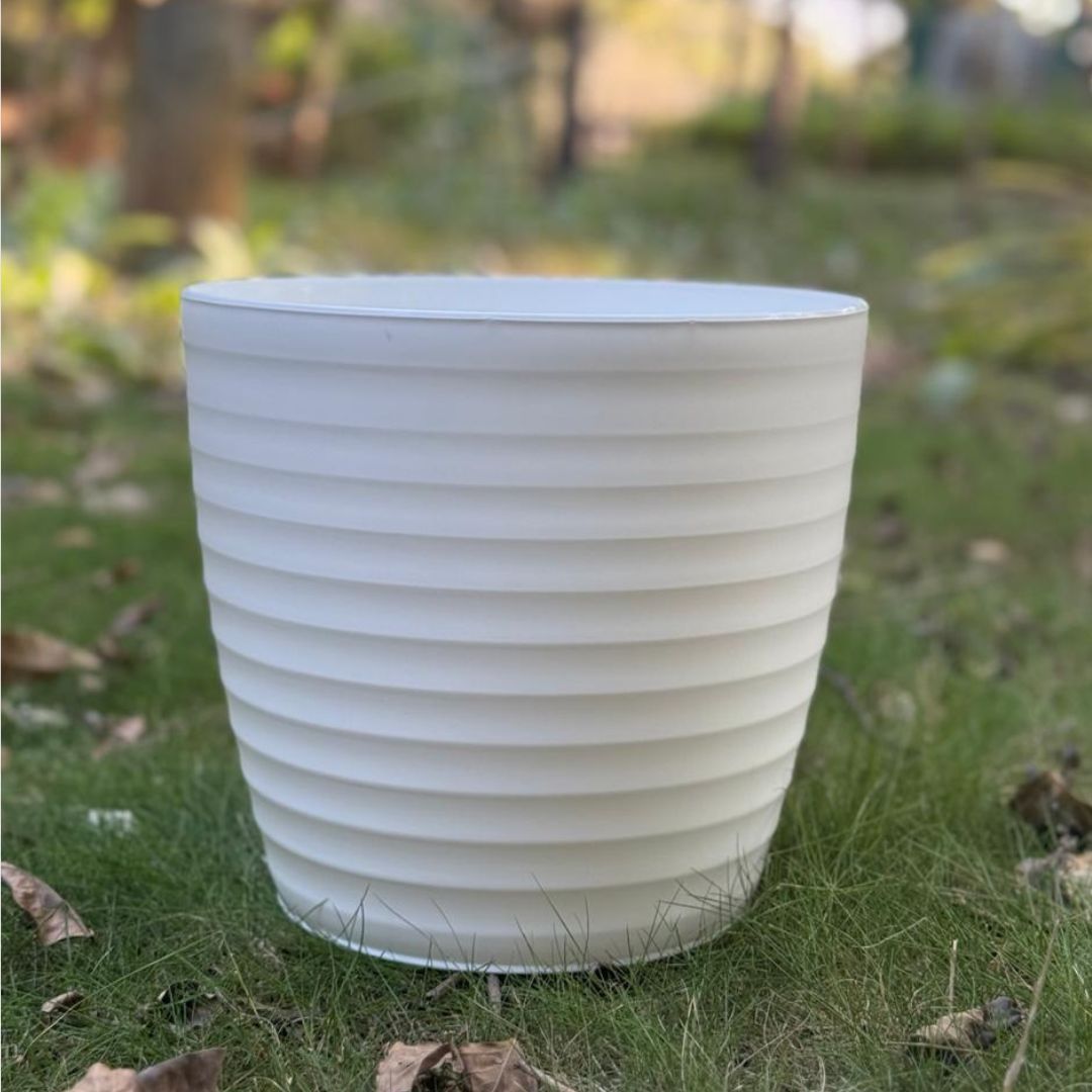 6 Inch White Avora Premium Plastic Planter