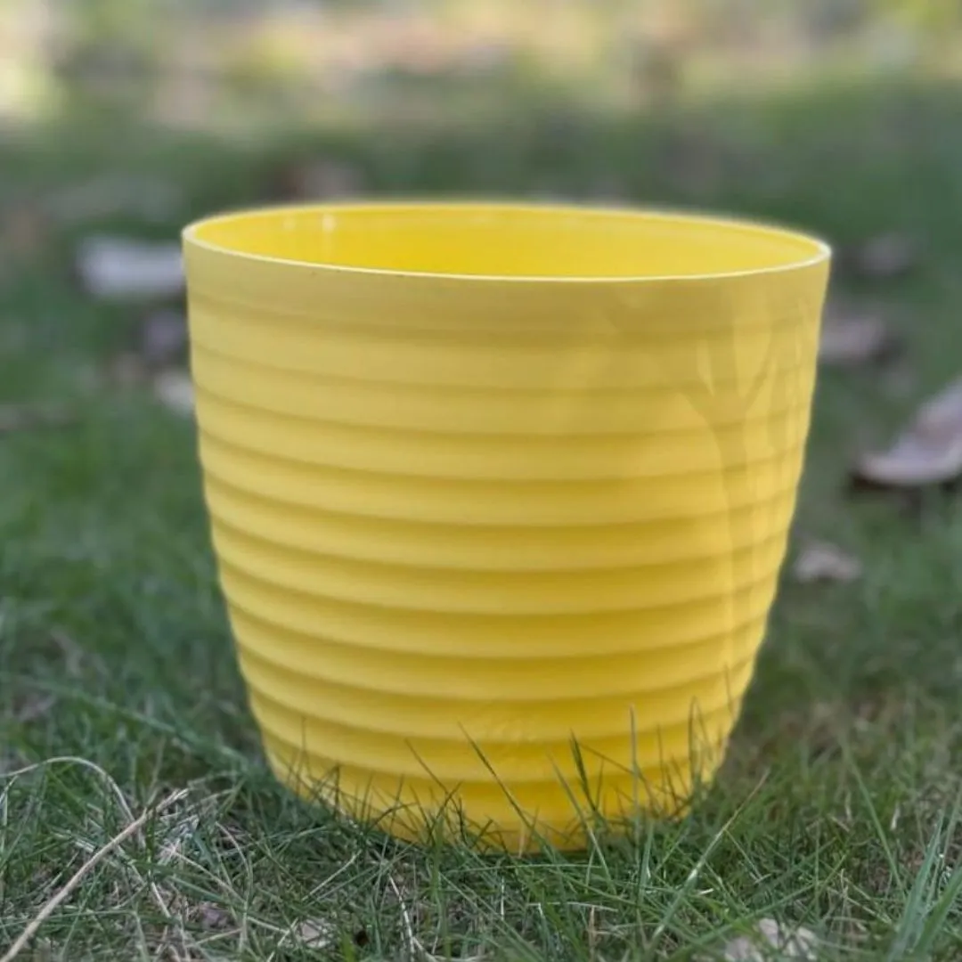 5 Inch Bloom Yellow Avora Premium Plastic Planter