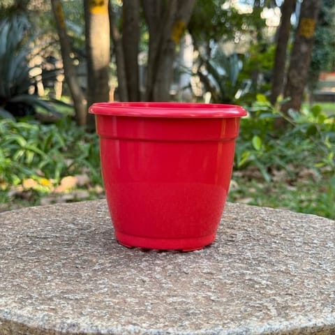 5 Inch Ruby Red Elora Premium Plastic Planter