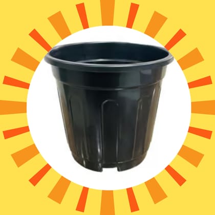 Free Gift - 6 Inch Black Super Nursery Pot - Flash Sale
