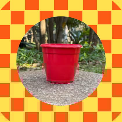 Free Gift - 3 Inch Ruby Red Elora Premium Plastic Planter - Flash Sale