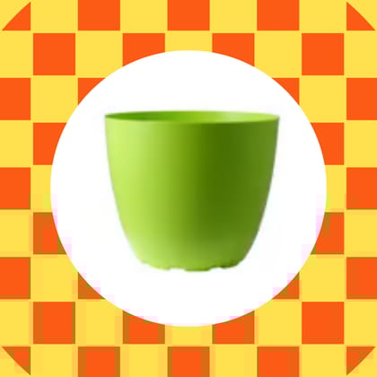 Free Gift - 4 Inch Green Premium Orchid Round Plastic Pot - Flash Sale