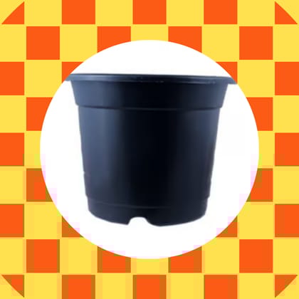 Free Gift - 4 Inch Black Nursery Pot - Flash Sale