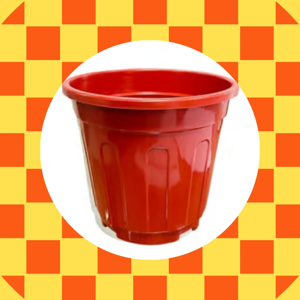 Free Gift - 6 Inch Red Super Nursery Pot - Flash Sale Free Gift - 6 Inch Red Super Nursery Pot - Flash Sale