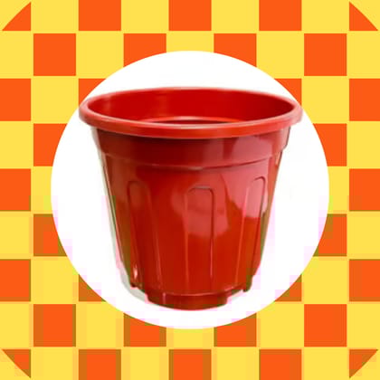 Free Gift - 6 Inch Red Super Nursery Pot - Flash Sale