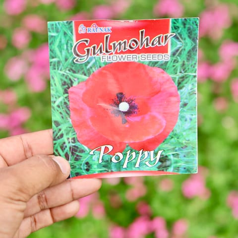 Poppy Seeds - Excellent Germination