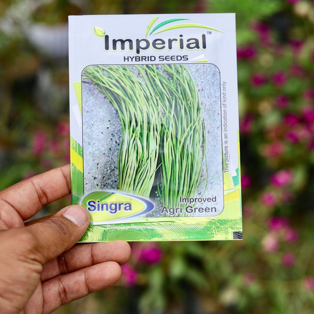 Buy Singra / Mongra Seeds - Excellent Germination Online | Urvann.com Singra / Mongra Seeds - Excellent Germination