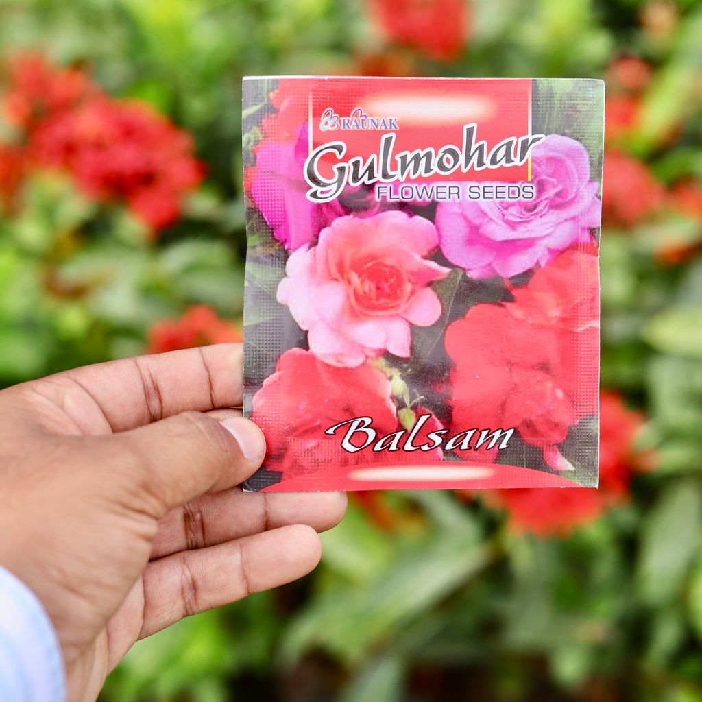Balsam Mixed Seeds - Excellent Germination Summer Seeds