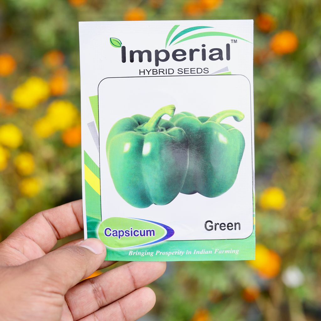 Buy Capsicum Green Seeds - Excellent Germination Online | Urvann.com Capsicum Green Seeds - Excellent Germination
