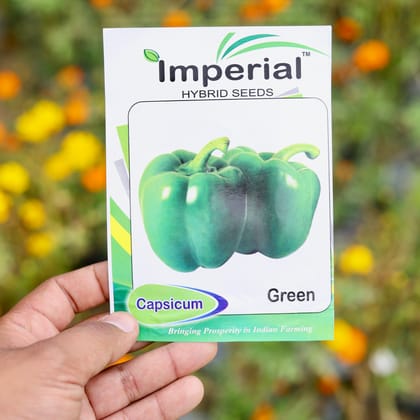Buy Capsicum Green Seeds - Excellent Germination Online | Urvann.com