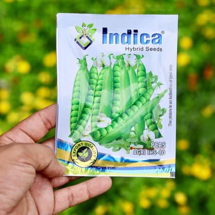 Buy Peas Seeds - Excellent Germination Online | Urvann.com