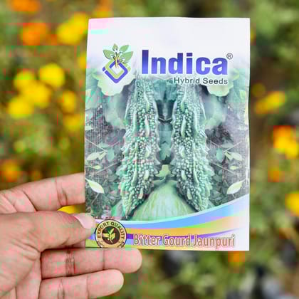 Buy Bitter Gourd / Karela Seeds - Excellent Germination Online | Urvann.com