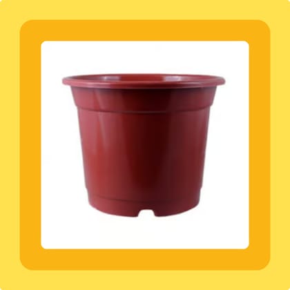 Free Gift - 5 Inch Red Nursery Pot - Flash Sale