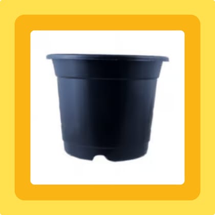 Free Gift - 5 Inch Black Nursery Pot - Flash Sale
