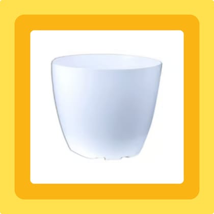 Free Gift - 4 Inch White Premium Orchid Round Plastic Pot - Flash Sale