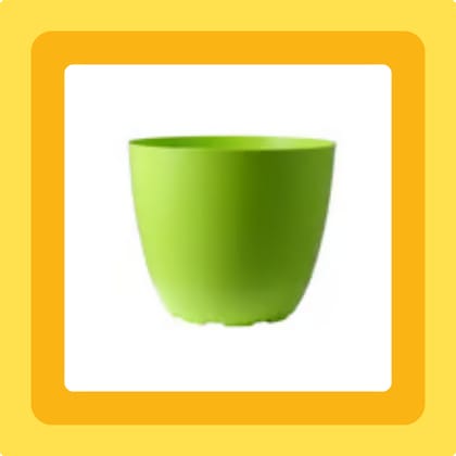 Free Gift - 4 Inch Green Premium Orchid Round Plastic Pot - Flash Sale