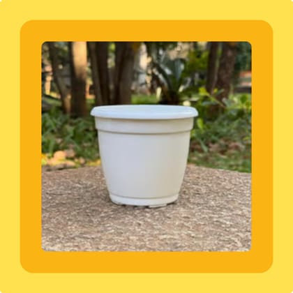 Free Gift - 3 Inch Cloudy White Elora Premium Plastic Planter - Flash Sale