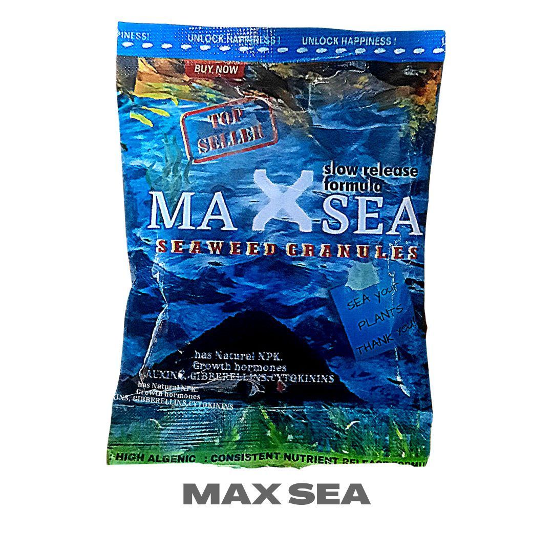 Max Sea - 100 Gm - Seaweed-based plant growth booster