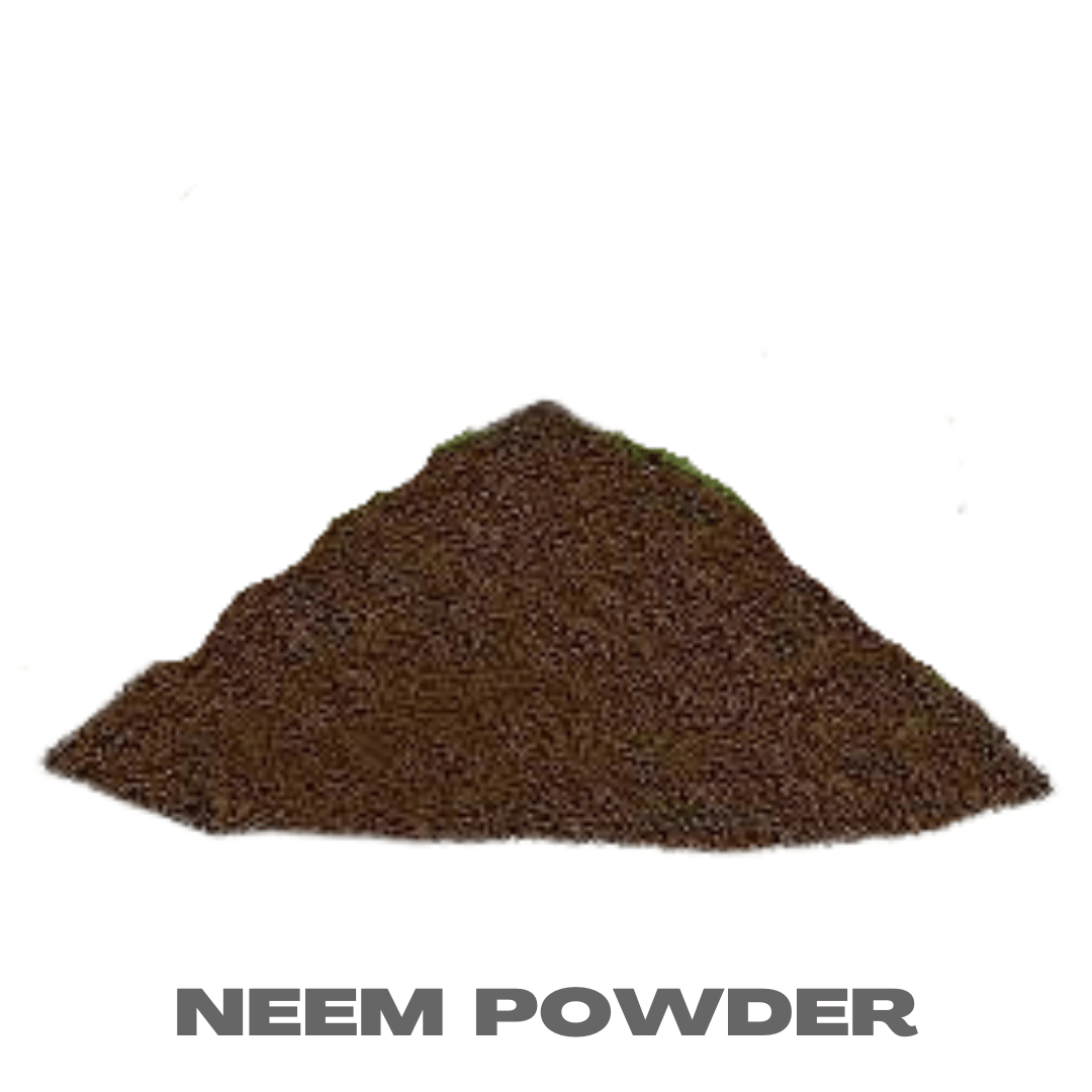 Neem Powder - 1 Kg - Natural soil protector & pest repellent