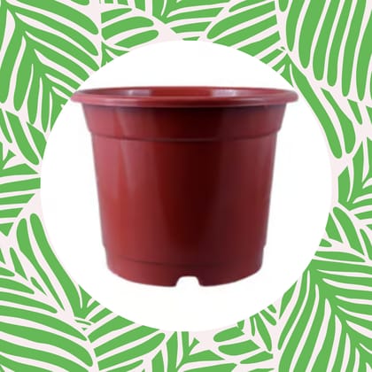 Free Gift - 5 Inch Red Nursery Pot - Flash Sale