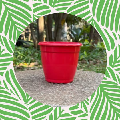 Free Gift - 4 Inch Ruby Red Elora Premium Plastic Planter - Flash Sale