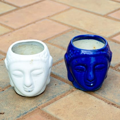 Buy Set of 2 - 4 Inch Buddha Designer Ceramic Pot (any colour) Online | Urvann.com