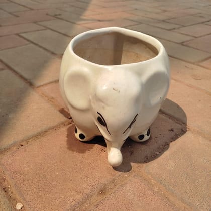 Buy 5 Inch Elephant Designer Ceramic Pot (any colour) Online | Urvann.com