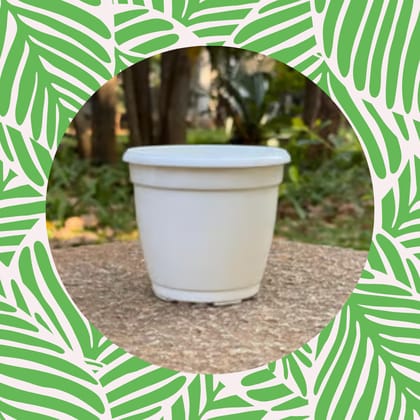 Free Gift - 3 Inch Cloudy White Elora Premium Plastic Planter - Flash Sale