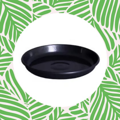 Free Gift - 4 Inch Black Premium Black Tray - To keep under the Pot - Flash Sale