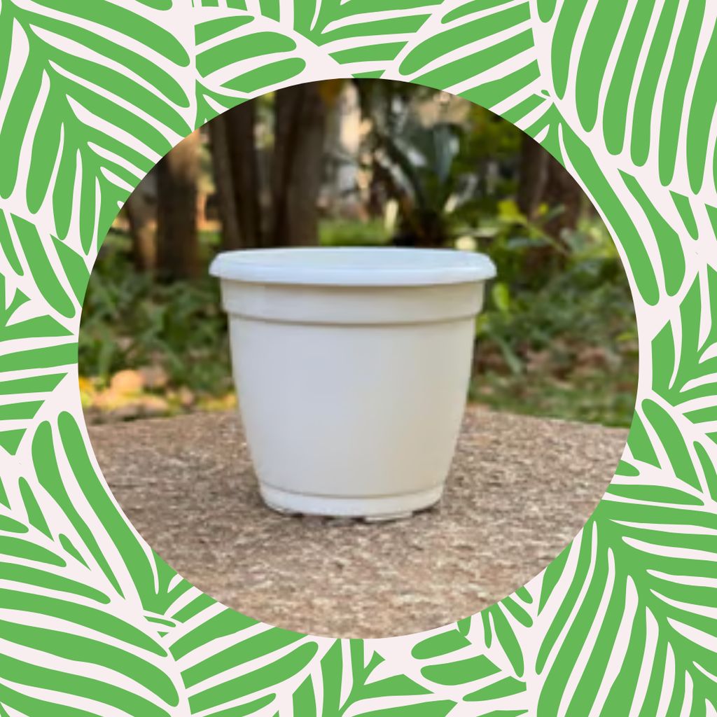 Free Gift - 3 Inch Cloudy White Elora Premium Plastic Planter - Flash Sale Free Gift - 3 Inch Cloudy White Elora Premium Plastic Planter - Flash Sale