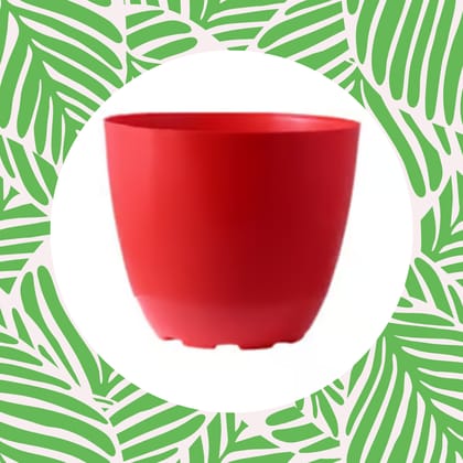 Free Gift - 4 Inch Red Premium Orchid Round Plastic Pot - Flash Sale