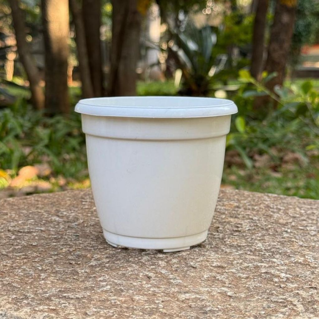 Buy 3 Inch Cloudy White Elora Premium Plastic Planter Online | Urvann.com Free Gift - 3 Inch Cloudy White Elora Premium Plastic Planter - Flash Sale