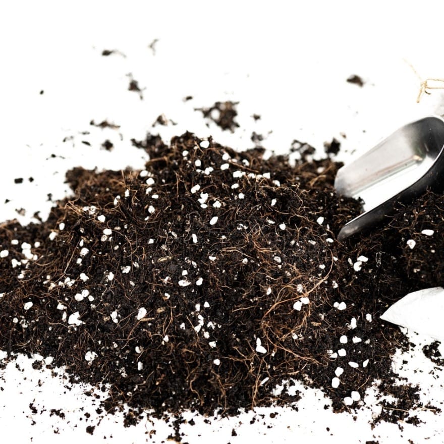Buy Soil Less Potting mix - Excellent for Indoor Plants, Succulents, Cactus, Porous, Fertile - 5kg Online | Urvann.com Soil Less Potting mix - Excellent for Indoor Plants, Succulents, Cactus, Porous, Fertile - 5kg