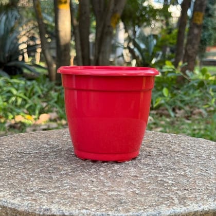 Buy 3 Inch Ruby Red Elora Premium Plastic Planter Online | Urvann.com