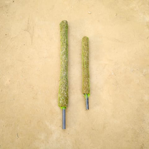 Set of 2 - Moss Stick (3 Ft & 2 Ft)