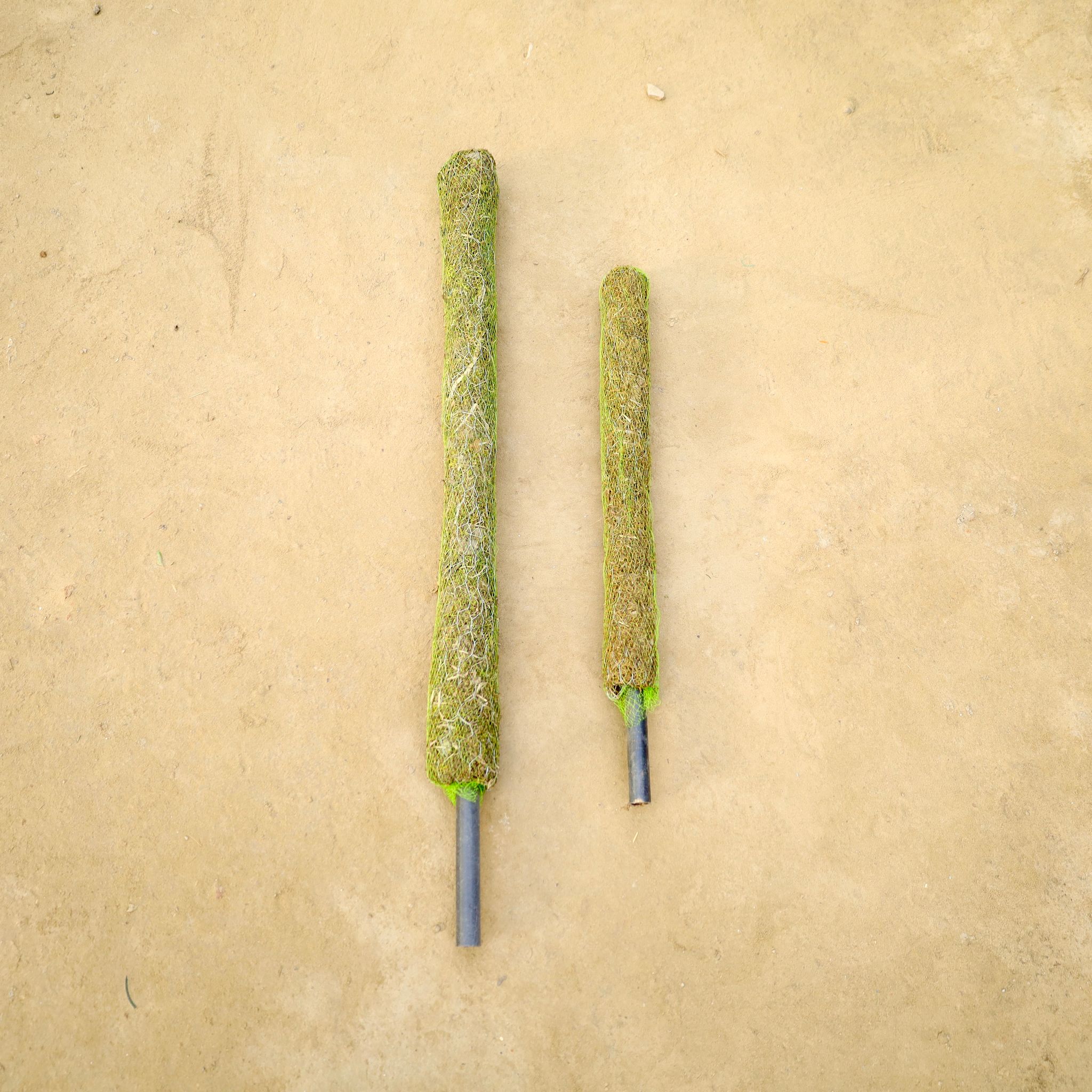 Set of 2 - Moss Stick (3 Ft & 2 Ft)