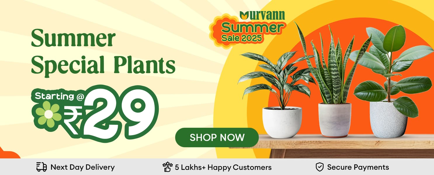 All plants