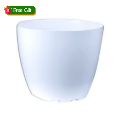 Free Gift - 4 Inch White Premium Orchid Round Plastic Pot - Flash Sale