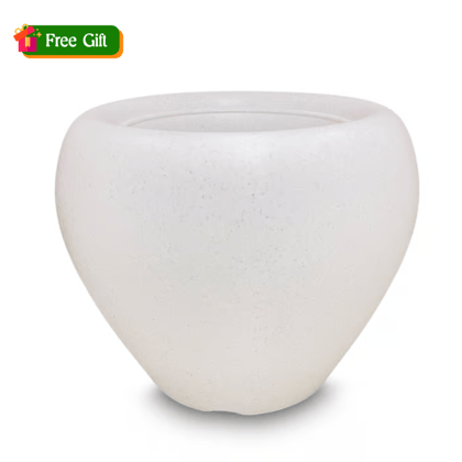 Free gift - 4 Inch White Apple Plastic Pot - Flash Sale