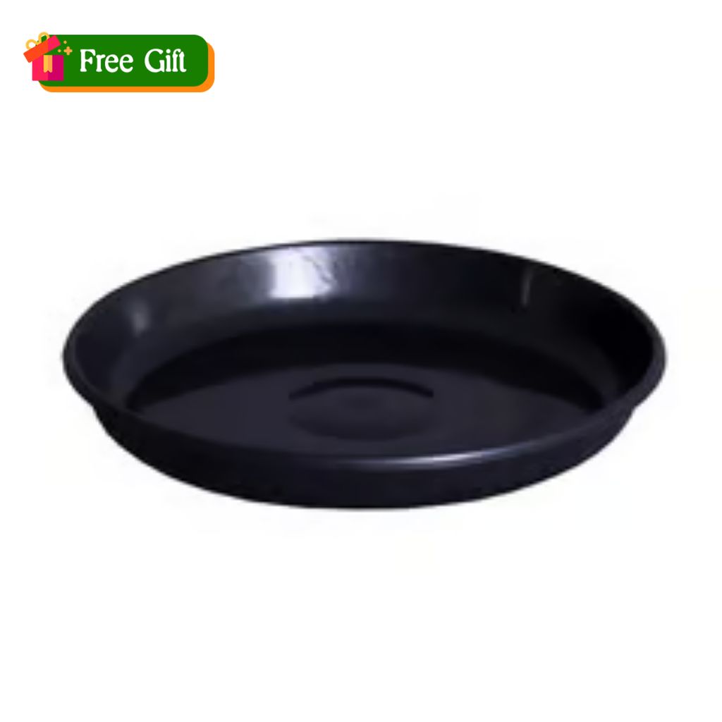 Free Gift - 6 Inch Black Premium Black Tray - To keep under the Pot - Flash Sale Free Gift - 6 Inch Black Premium Black Tray - To keep under the Pot - Flash Sale