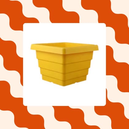Free Gift - 4 Inch Yellow Premium Orchid Square Plastic Pot - Flash Sale