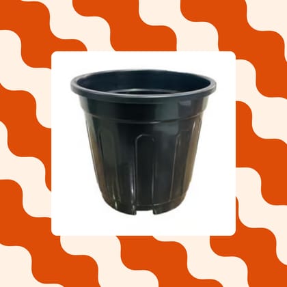 Free Gift - 6 Inch Black Super Nursery Pot - Flash Sale