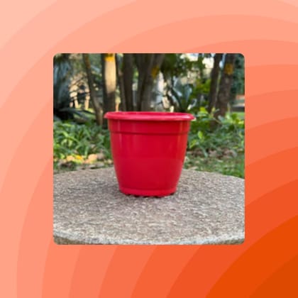 Free Gift - 4 Inch Ruby Red Elora Premium Plastic Planter - Flash Sale